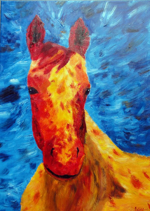 claire bauger artiste peintre coloriste animaux colorés : le cheval